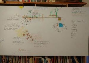 The Living Earth lesson board