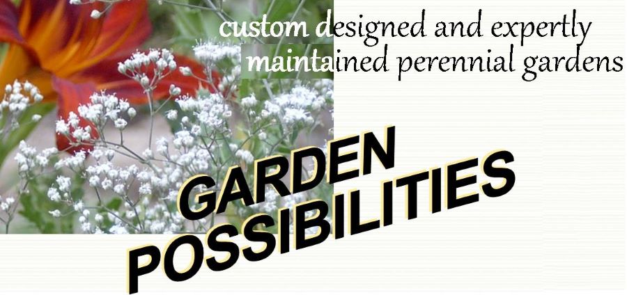 Maintaining a Perennial Garden